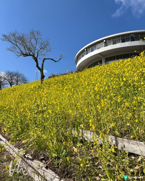 東京｜Mother Farm (觀光篇)