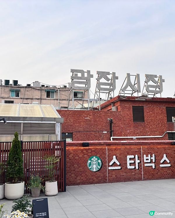 🇰🇷首爾廣藏市場 新開星巴克！打卡影相勁靚☕🐻
