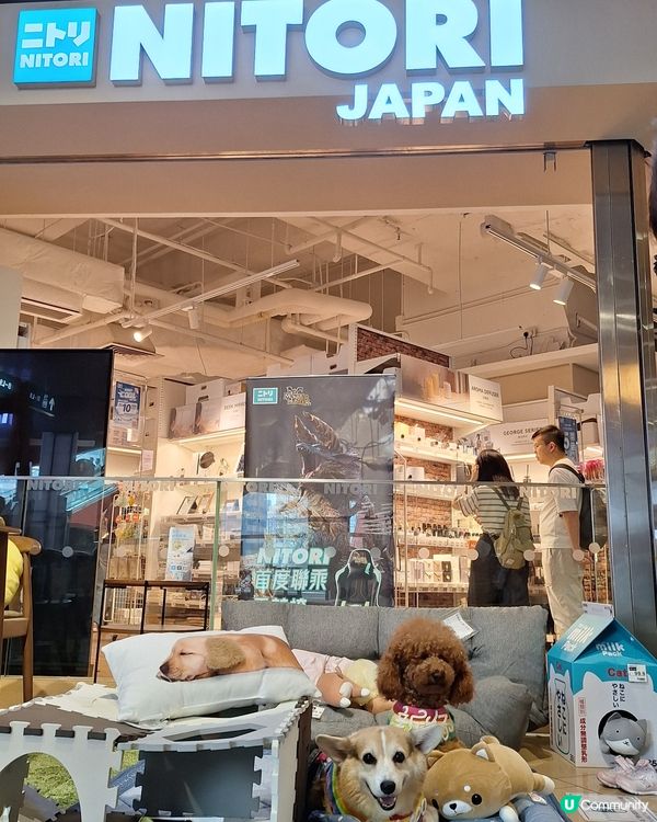 🐶🐱毛孩天堂！寵寵梳乎祭開鑼啦！🎉