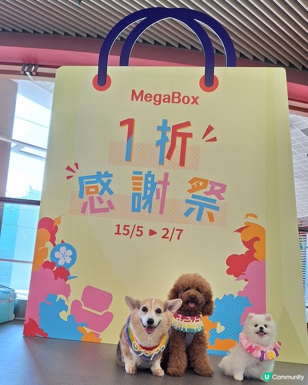 🐶🐱毛孩天堂！寵寵梳乎祭開鑼啦！🎉