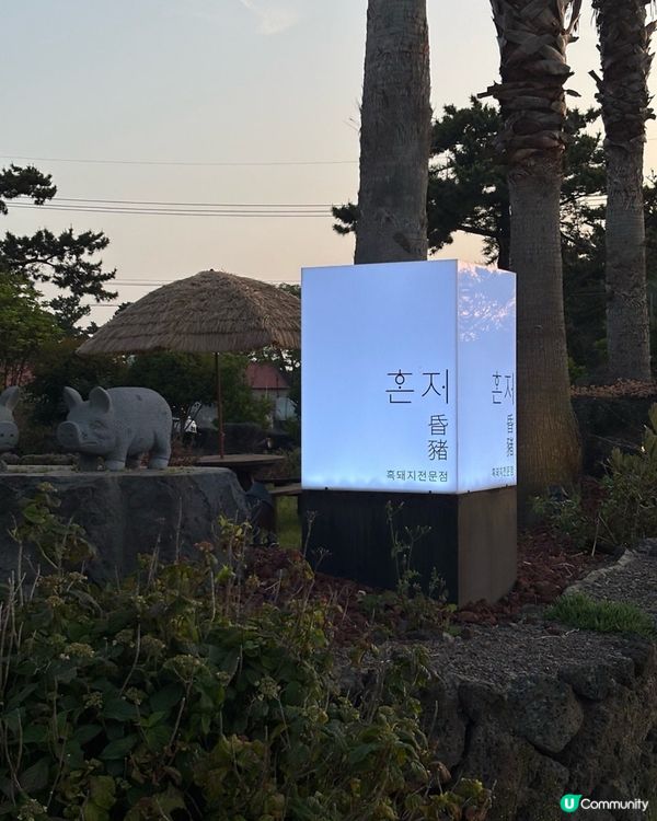 🇰🇷濟州島必食‼️當地黑毛豬燒肉‼️好食到冇得彈💯👏🏻