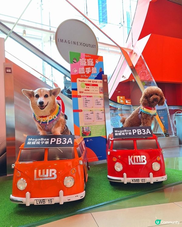 🐶🐱毛孩天堂！寵寵梳乎祭開鑼啦！🎉