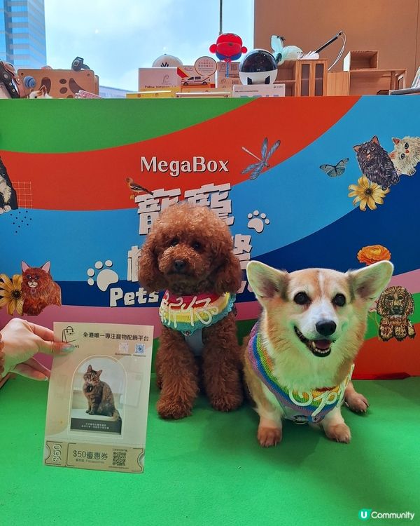 🐶🐱毛孩天堂！寵寵梳乎祭開鑼啦！🎉