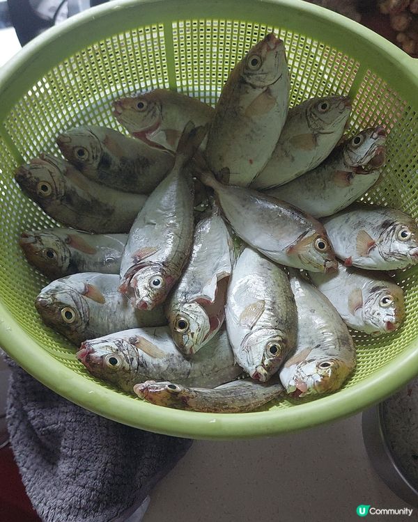 在漁船買了一份泥猛又新鮮又抵吃