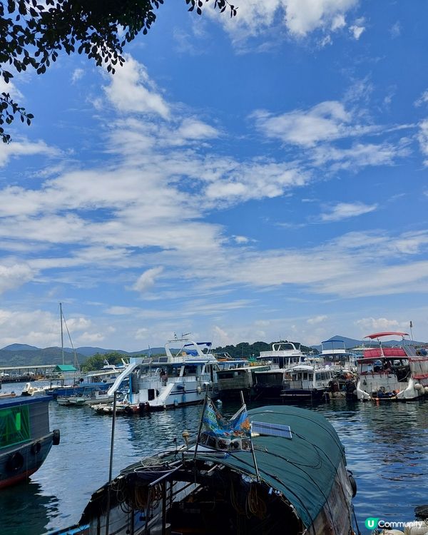 在漁船買了一份泥猛又新鮮又抵吃