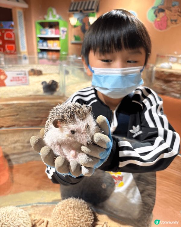 每次放假都會去珠海 動物園提供更多活動機會 最重要係平呀