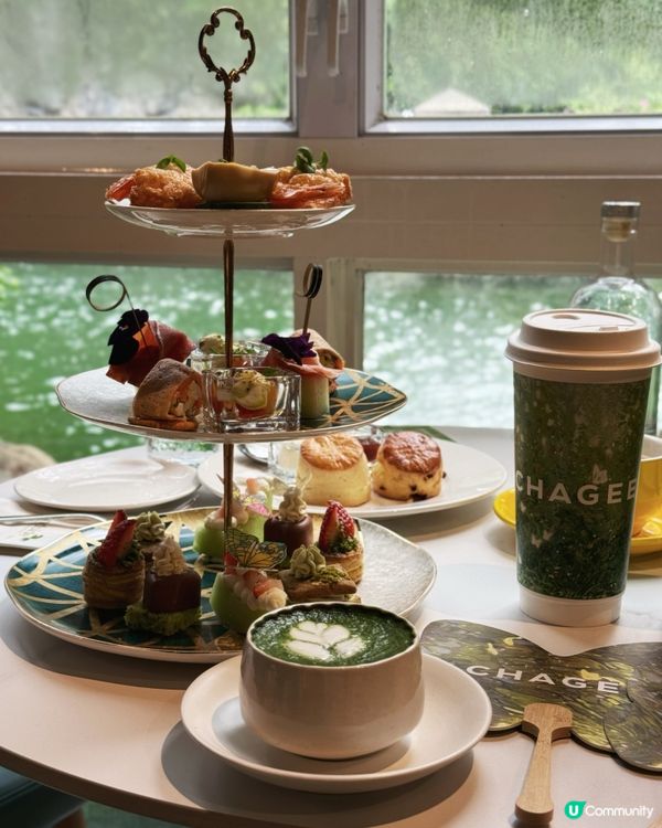 香港湖畔小瀑布下午茶 🏞️🍰打卡一流