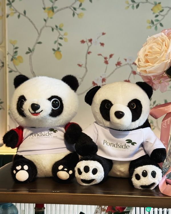 香港湖畔小瀑布下午茶 🏞️🍰打卡一流