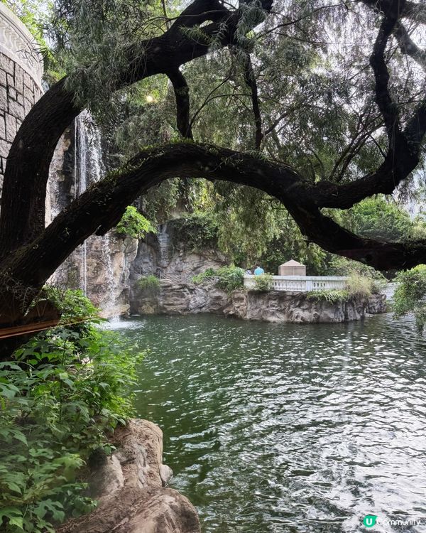 香港湖畔小瀑布下午茶 🏞️🍰打卡一流