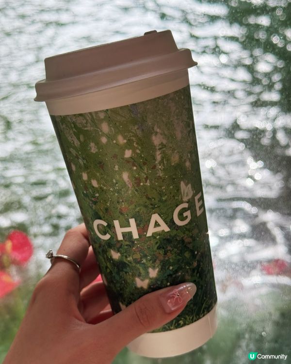 香港湖畔小瀑布下午茶 🏞️🍰打卡一流