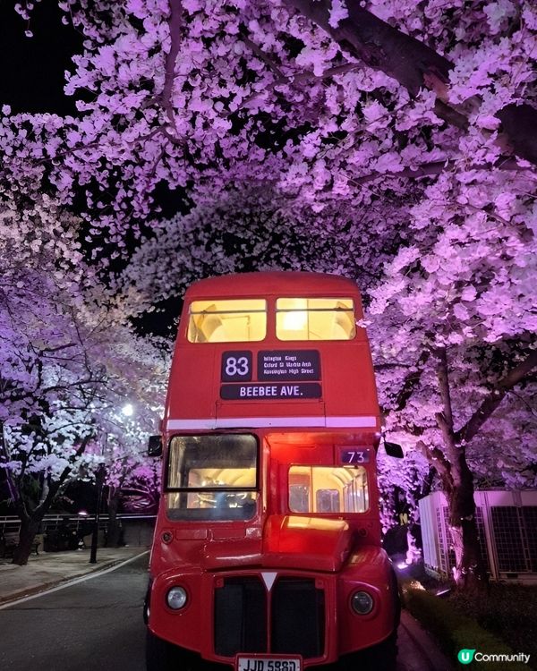 EWORLD星光櫻花節係我最愛嘅櫻花打卡熱點。EWORLD星...