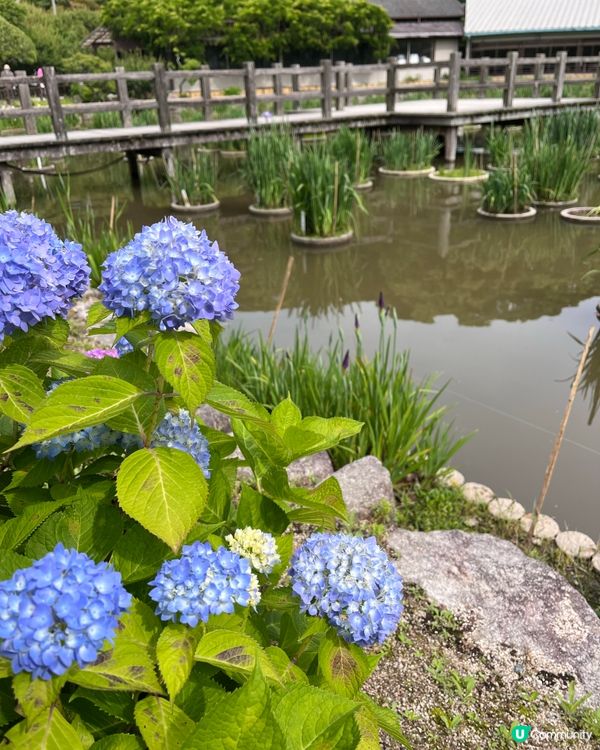 日本福崗自由行