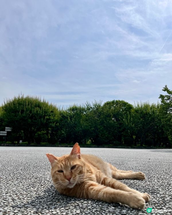 日本福崗自由行