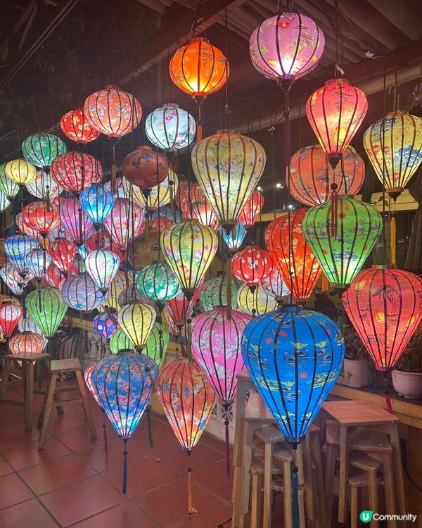 這家越南菜真的太絕了！食物美味可口，CP值超高！