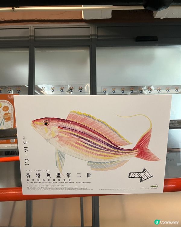 週末去石硤尾🎨睇魚畫展🐠  《香港魚畫》第二冊新書發佈會！