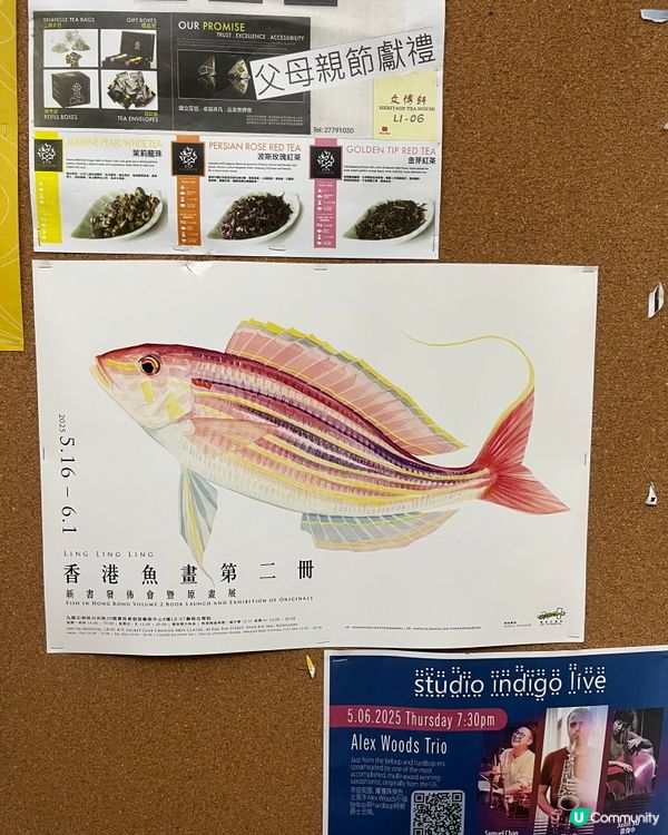 週末去石硤尾🎨睇魚畫展🐠  《香港魚畫》第二冊新書發佈會！