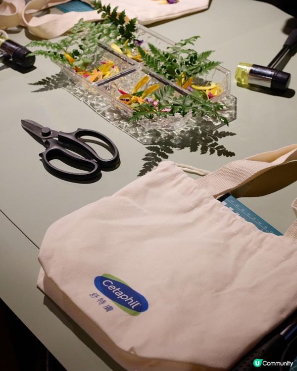 Afternoon Tea💚💙FINDS x Cetap