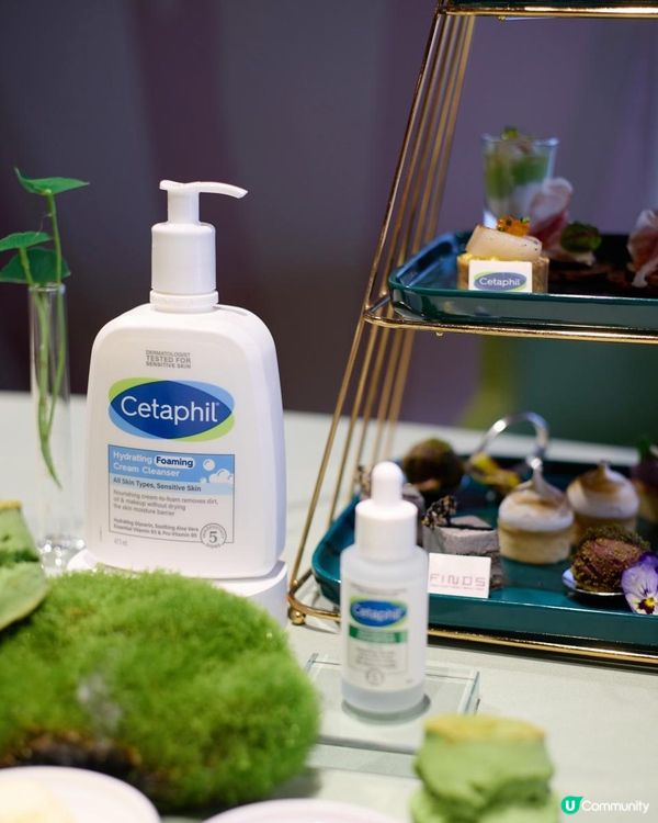 Afternoon Tea💚💙FINDS x Cetap