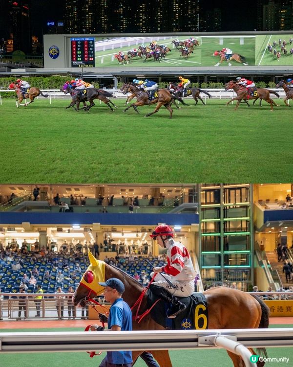 🐎跑馬地先駿廊露台靚景嘆美食🥂