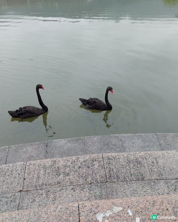 大梅沙京基洲際度假酒店