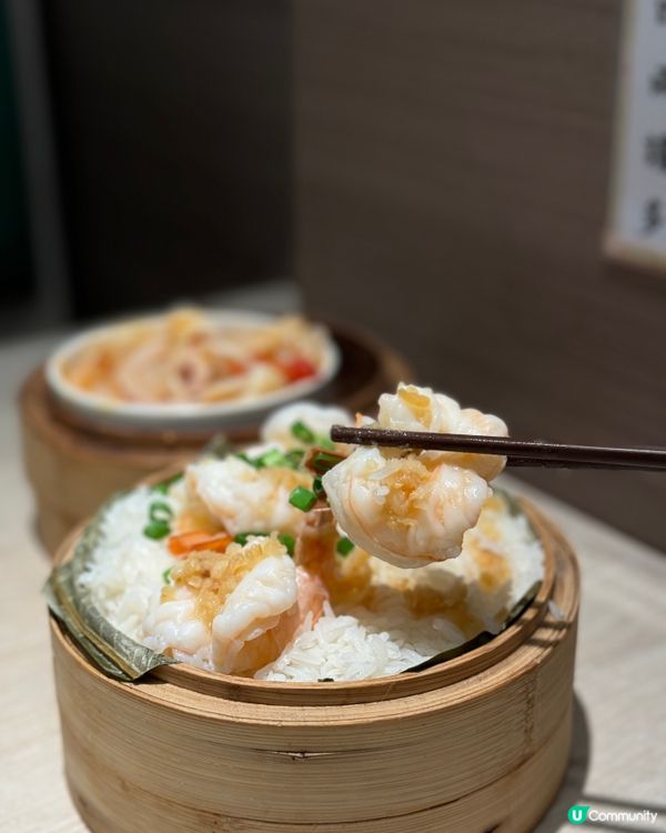 【大埔 | 性價比極高嘅新式點心專門店】