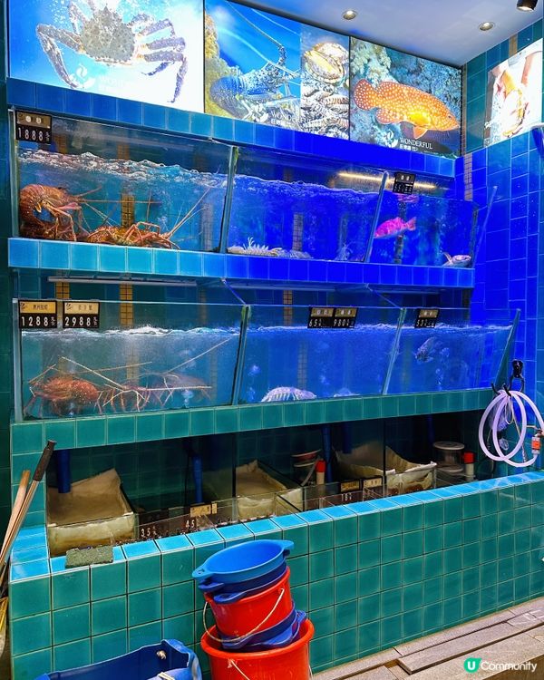 ［澳門］澳門必食超可愛啤啤熊卜卜蜆🐻