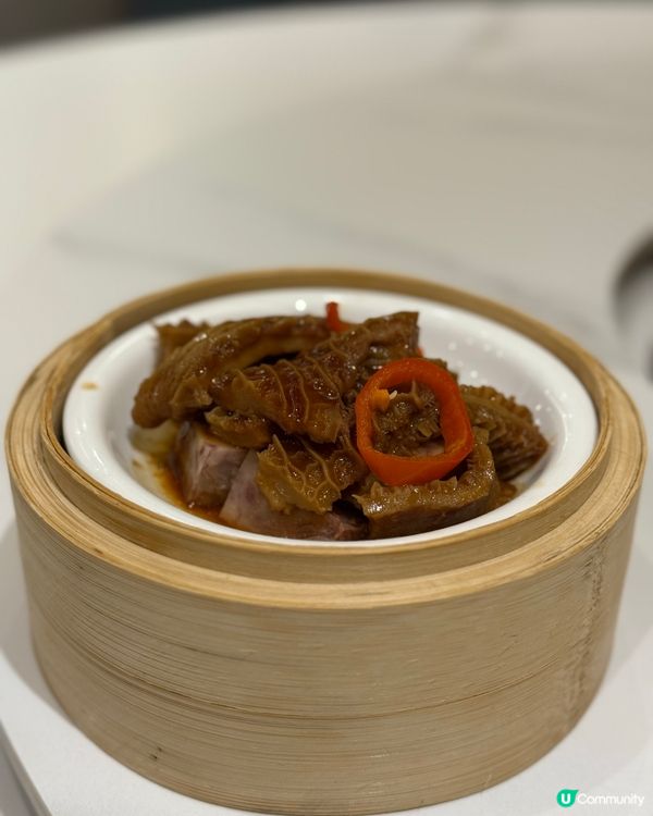 尖沙咀 🥢 伍佰私廚海鮮火鍋 🍲 平日午市點心8折優惠