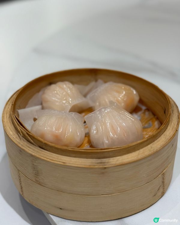 尖沙咀 🥢 伍佰私廚海鮮火鍋 🍲 平日午市點心8折優惠