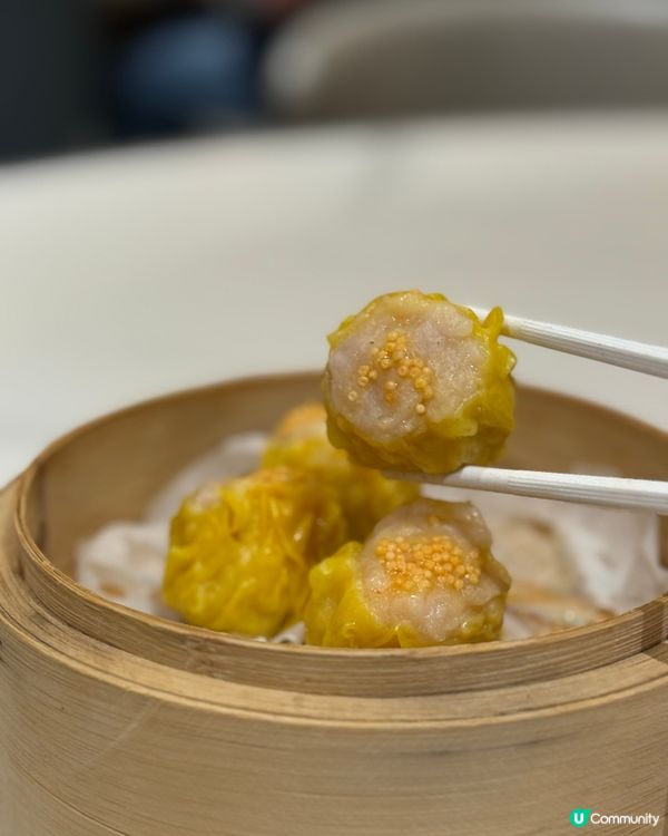 尖沙咀 🥢 伍佰私廚海鮮火鍋 🍲 平日午市點心8折優惠