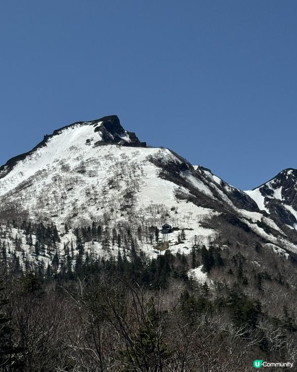 【日本自駕】北海道5月初春道東7天自駕遊行程整合（新札幌 → 富良野 → 層雲峽 → 網走知床→富良野→北廣島 → 新札幌)