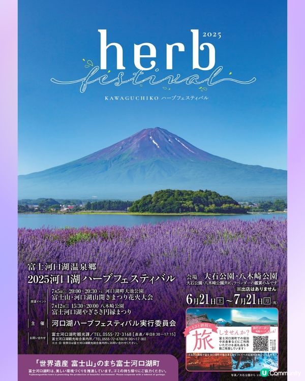 日本富士山河口湖薰衣草祭2025！有花火大會/附交通方法!