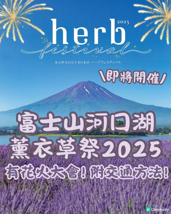 日本富士山河口湖薰衣草祭2025！有花火大會/附交通方法!
