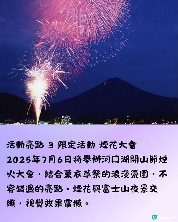 日本富士山河口湖薰衣草祭2025！有花火大會/附交通方法!