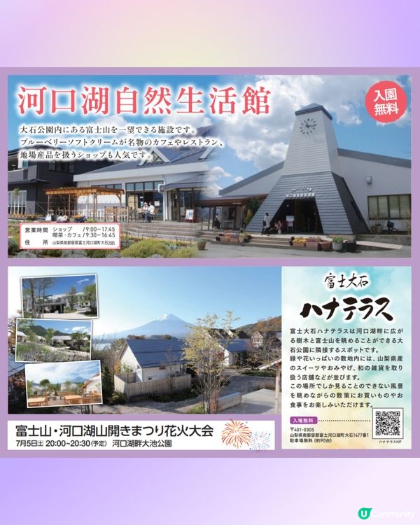 日本富士山河口湖薰衣草祭2025！有花火大會/附交通方法!