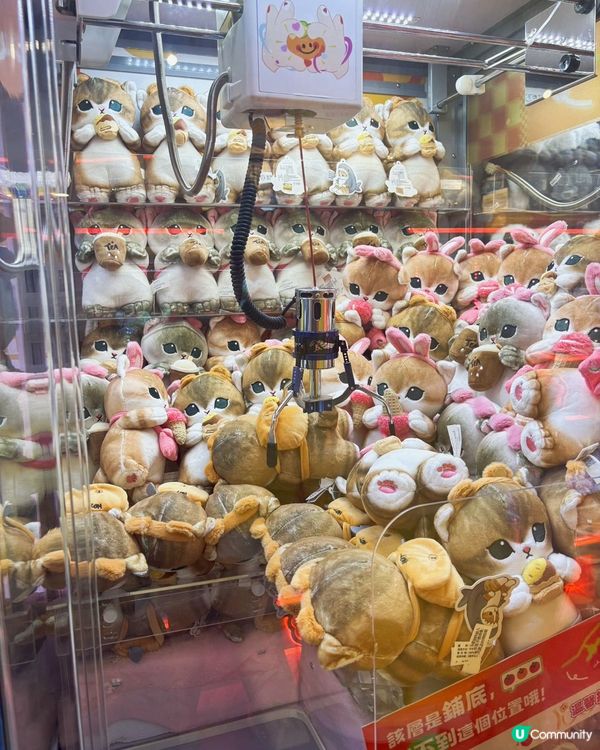 ## 5蚊夾公仔🤩超高機率夾中！