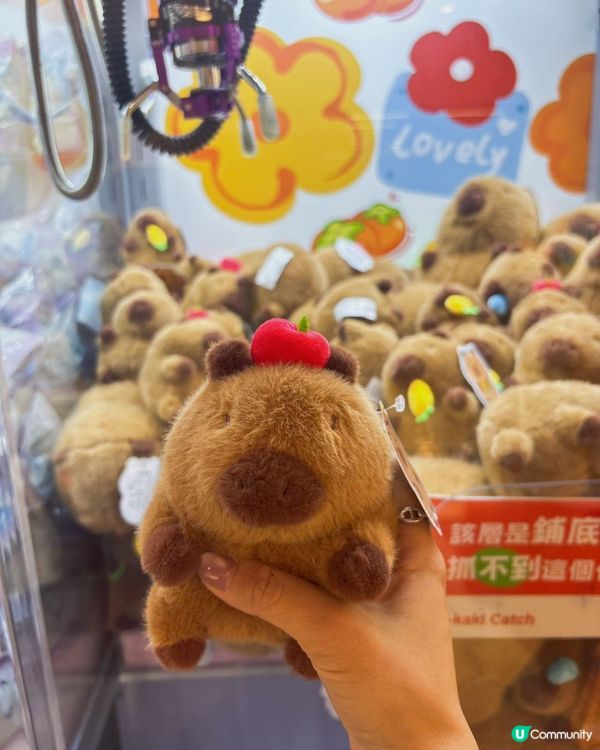 ## 5蚊夾公仔🤩超高機率夾中！