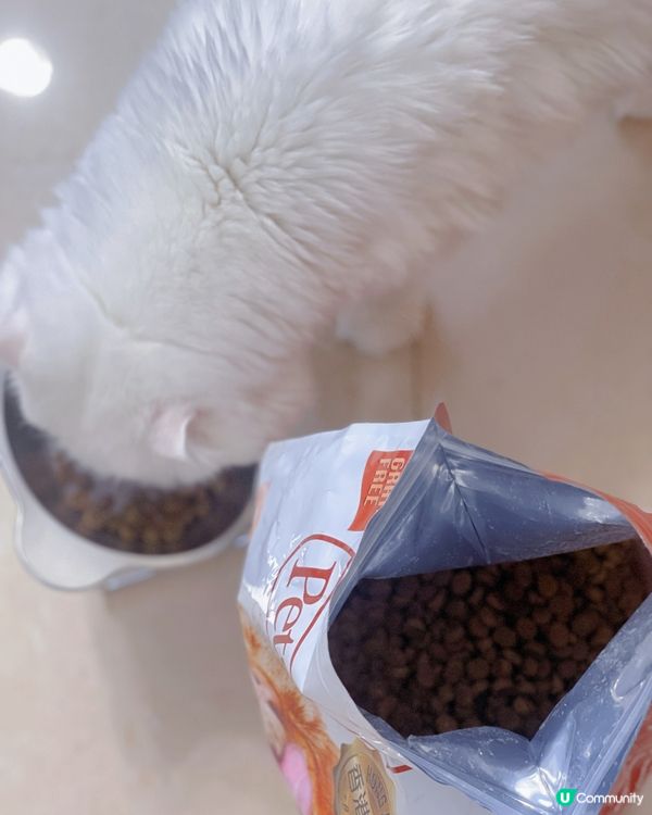 ✨Life Core無穀物貓糧✨天然健康又好味💕