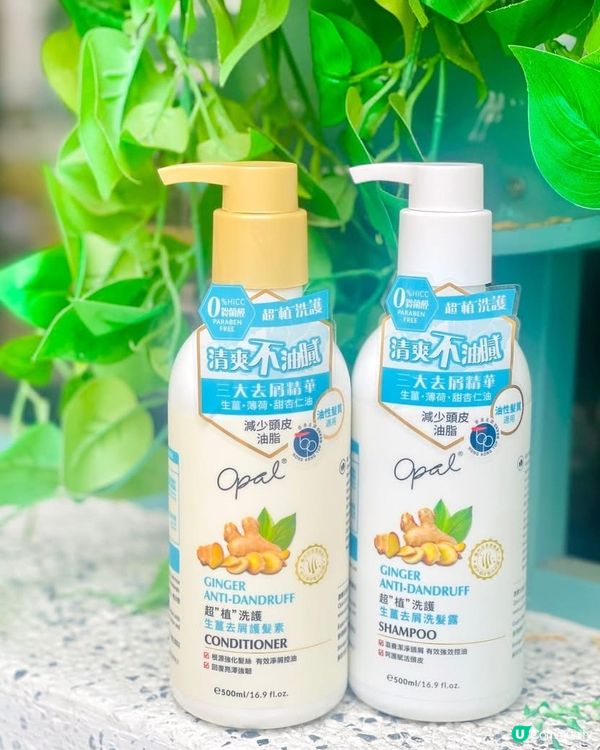 終於成功同大油頭講拜拜喇👋👋