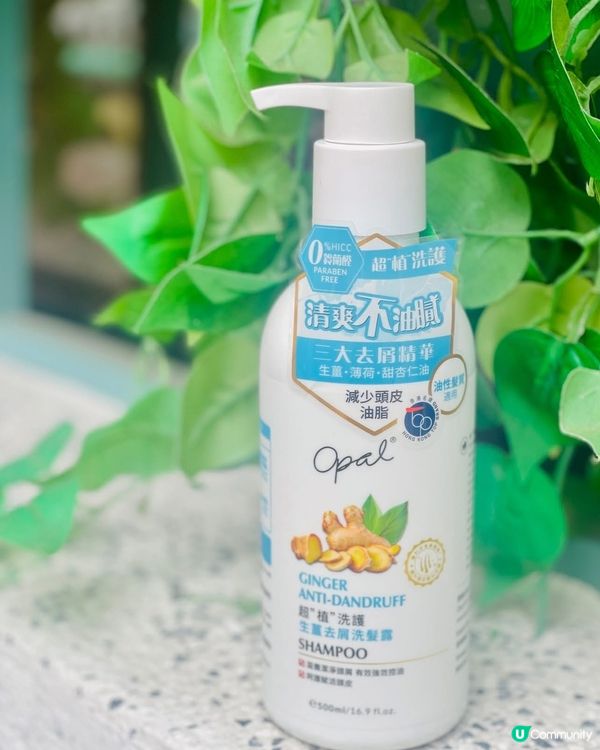 終於成功同大油頭講拜拜喇👋👋