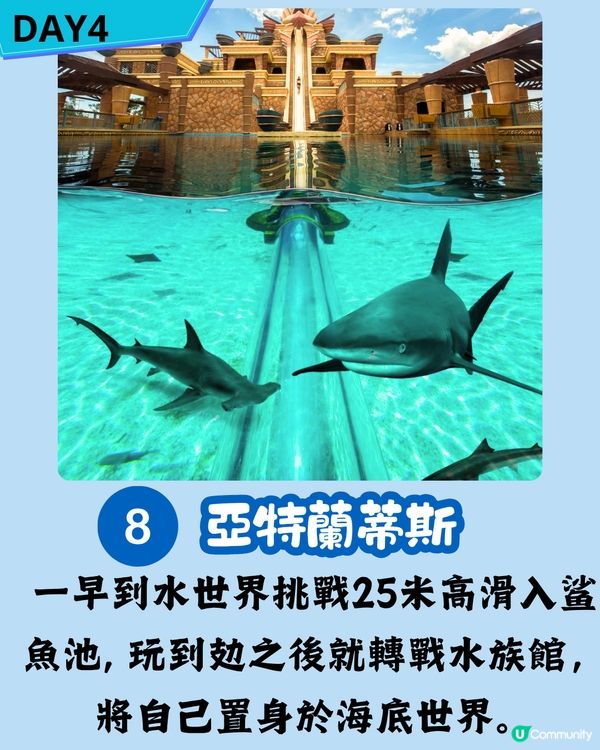 三亞5日4夜玩轉陽光與海灘 | 南山寺、西島、亞龍灣全攻略 內附住宿推薦 🌴
