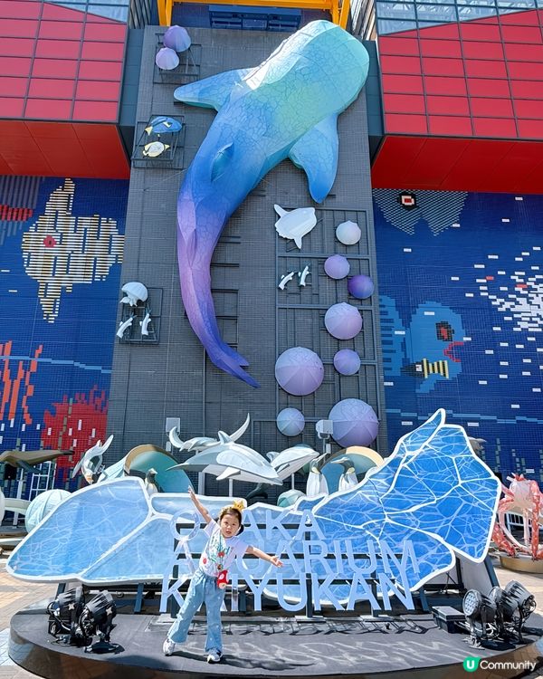 #大阪親子遊 🩵海游館之旅🐠🐋超可愛海洋生物
