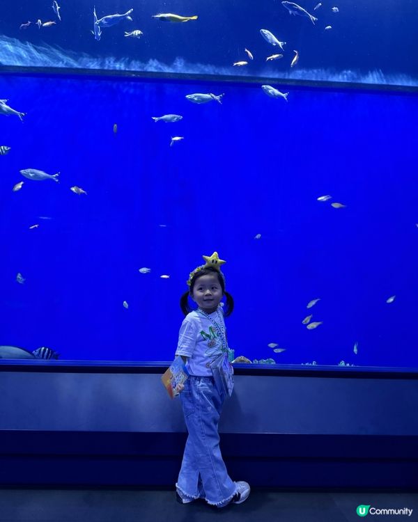 #大阪親子遊 🩵海游館之旅🐠🐋超可愛海洋生物