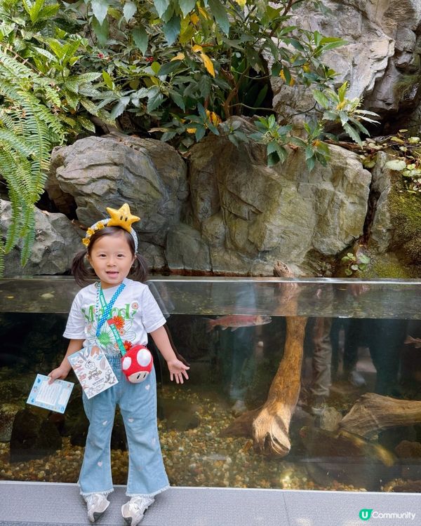 #大阪親子遊 🩵海游館之旅🐠🐋超可愛海洋生物