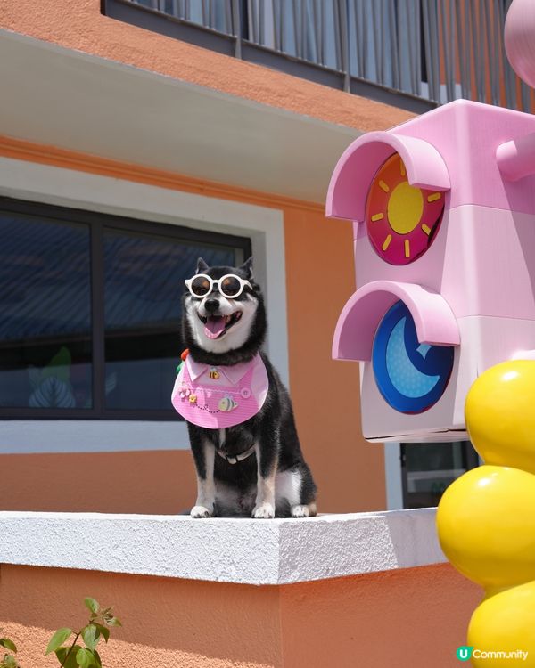 馬灣一日遊📸  打卡新地標！