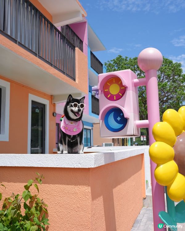 馬灣一日遊📸  打卡新地標！