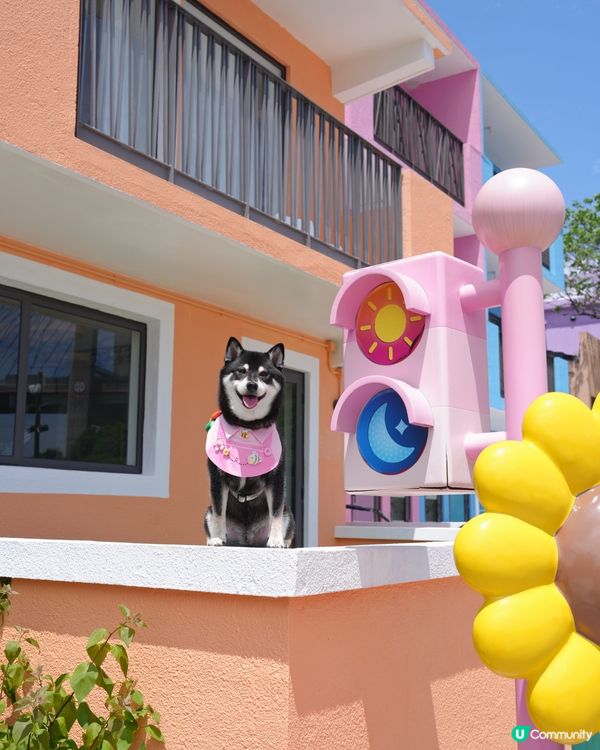 馬灣一日遊📸  打卡新地標！