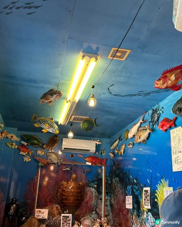 沖繩最具人氣的魚生店 - 魚屋直營食堂