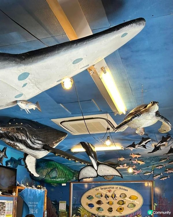 沖繩最具人氣的魚生店 - 魚屋直營食堂