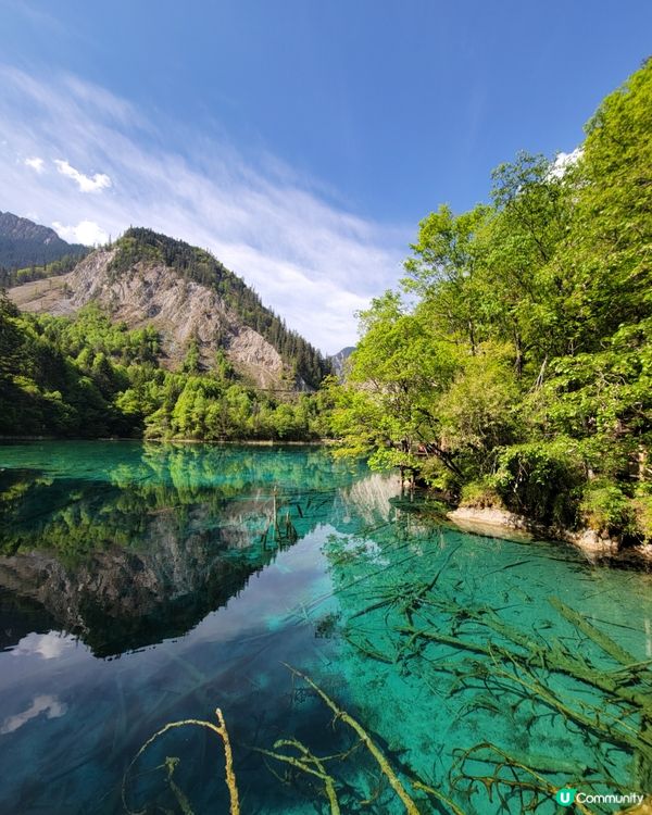 九寨溝及黃龍美景，美食之旅