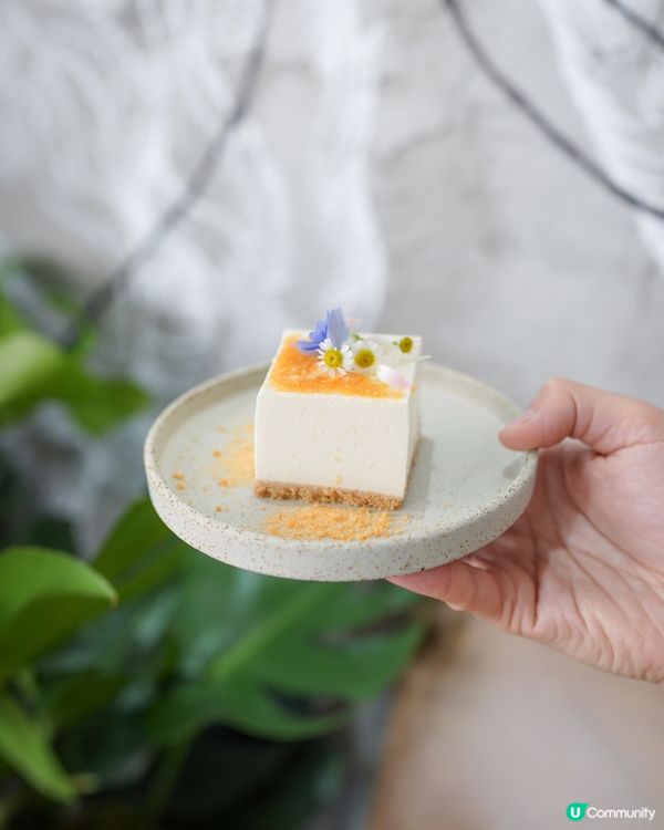 新✨ 寵物友善工業風 𝐜𝐚𝐟𝐞